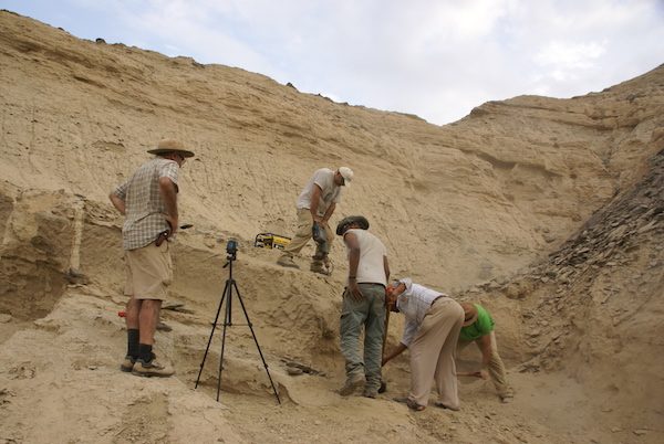 excavaciones-ado-qwawleh-fundacion-atapuerca-600x402 Eritrea: nuevas excavaciones en la cuenca de Engel Ela-Ramud