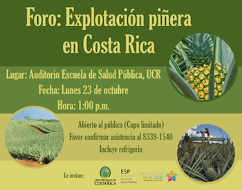 foro-pin-cc-83a-costa-rica-20171022 Costa Rica: sobre el cultivo dañino de las piñas