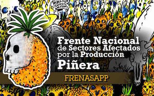 frente-productores-de-piña-costa-rica La producción de la piña en Costa Rica ante la CIDH