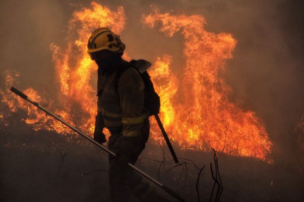 galicia-incendio-600x400 Terrorismo incendiario vs política forestal: la realidad de España