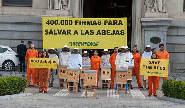 greenpeace-abejas-ministerio-es Greenpeace moviliza apicultores para salvar las abejas en España