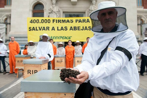 greenpeace-abejas-muertas-es-600x399 Greenpeace moviliza apicultores para salvar las abejas en España