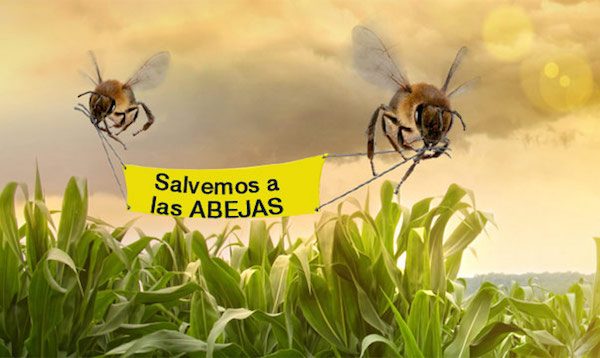 greenpeace-salvemos-abejas-600x358 Fumigaciones aéreas en Andalucía matan abejas