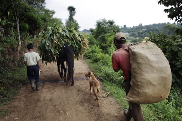 guatemala-desarrollo-rural-600x401 Guatemala: la objetada prioridad del desarrollo rural