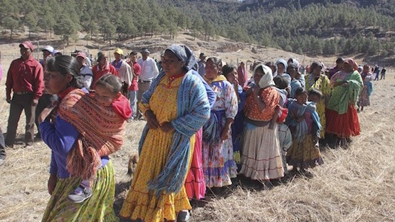 indigenas-raramuris_excelsior Si sabes de dónde vienes…