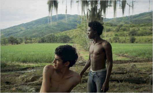 los-hongos-fotograma “Los hongos” del colombiano Oscar Ruiz Navia en apertura del festival de Toulouse