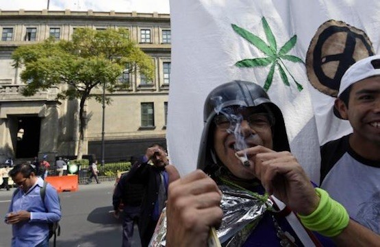 marihuana-activistas-mexico-Andes Mariguana en México: un debate para alcanzar soluciones