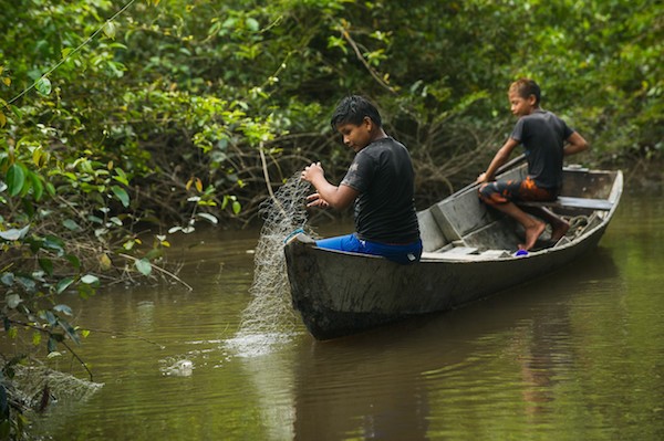 munduruku-children-fishing-in-the-amazon-rainforest-crianaas-munduruku-pescando Brasil no autoriza la presa sobre el Tapajos, hogar de los Mundurukú