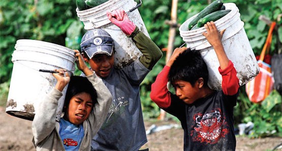 mx1-menores-trabajando El Gobierno mexicano tiene abandonada a la infancia