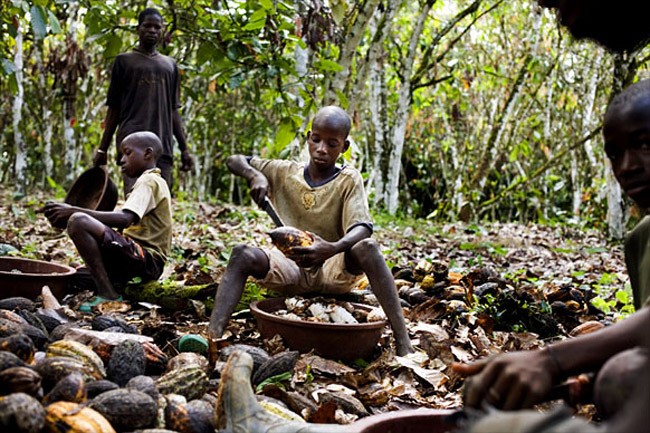 ninos-esclavos-en-africa El amargo sabor del chocolate: la esclavitud infantil