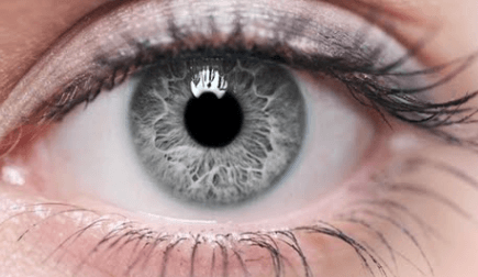 ojo Diagnostican el Alzheimer a través de la retina