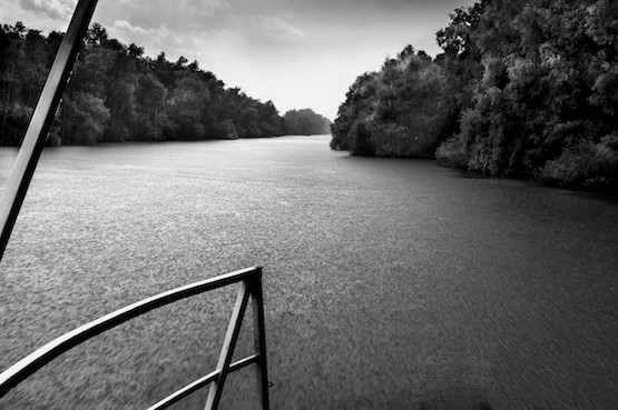 pgonzalezsanagustin-danubio-junio-2015-128 Un viaje por el Danubio