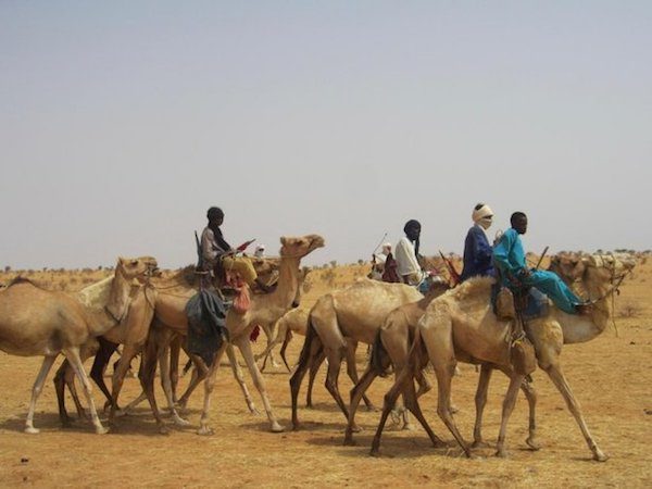 refugiados-tuareg-desierto-initkan-niger-acnur_bntwari-600x450 Sáhara: mueren en el desierto 44 inmigrantes y refugiados