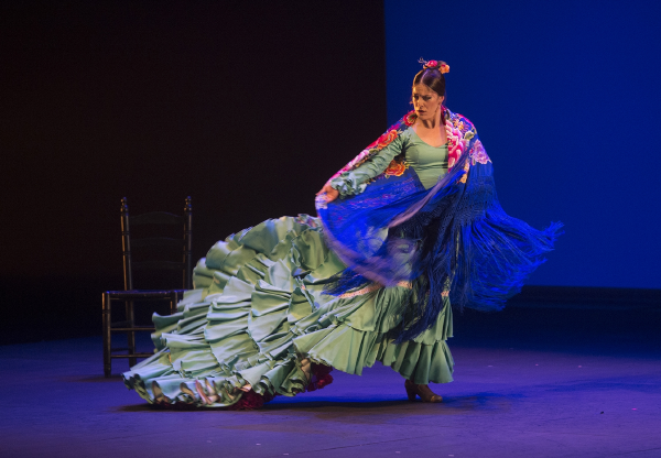 resized_2-gala-flamenca_fotografo-david-mudarra-2 Suma Flamenca 2017. Danzas y cantes