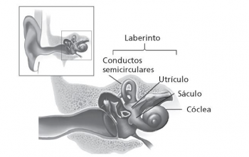 sindrome-de-meniere-350x222 Síndrome de Ménière: algo más que un silbido