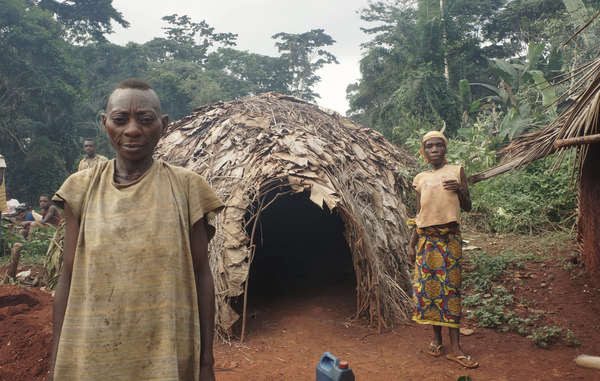 survival-viviendas-bakas-600x381 WWF sí conoce los abusos que sufren los pigmeos en Camerún