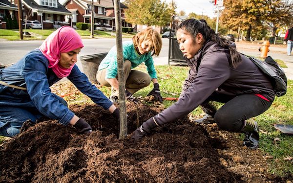 the-nature-conservancy-arboles-urbanos-planta The Nature Conservancy: árboles urbanos para salvar vidas