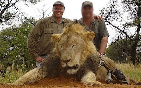 walter-palmer-Cecil El sacrificio de Cecil