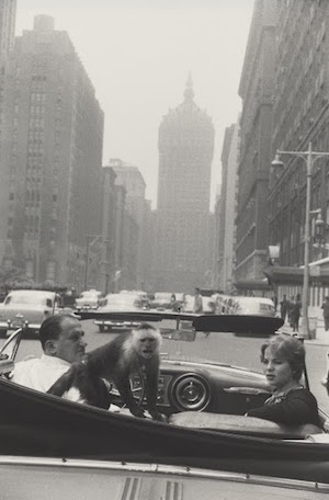 winogrand-parkavenue-newyork-1956 La América de Garry Winogrand