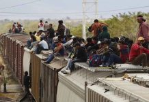 México: tren conocido como "la bestia" que utilizan los migrantes para atravesar hasta la frontera de EEUU
