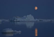 Greenpeace: casquete polar ártico