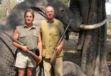 El rey Juan Carlos ante un elefante abatido