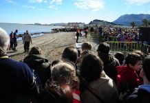 Suelta de Tortugas Navideñas en Dénia