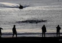 Inmigrantes intentan llegar a nado a territorio español en la playa del Tarrajas de Ceuta