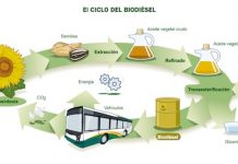 ciclo-biodiesel