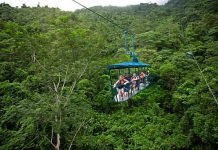 Los bosques cubren más de 52 % del territorio de Costa Rica, país pionero en el mundo en ponerse como meta alcanzar el carbono neutralidad en 2021