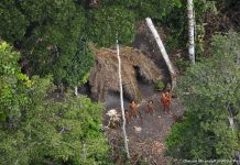 El grupo de indígenas aislados apareció en Brasil junto al borde fronterizo peruano, cerca de donde se sacó esta fotografía aérea en 2010. © G. Miranda/FUNAI/Survival