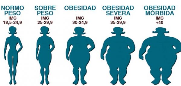 obesidad-600x286 25 millones de personas padecen obesidad en España