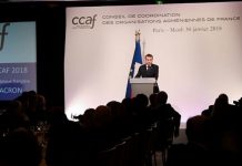 Enmanuel Macron durante la cena de la CCAF donde realizó el anuncio del día oficial sobre el Genocidio Armenio.