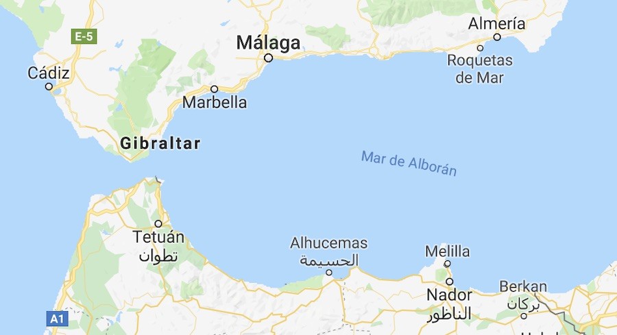 mar-de-alboran-google Delfines del Mar de Alborán acumulan niveles altos de plastificantes en el cerebro