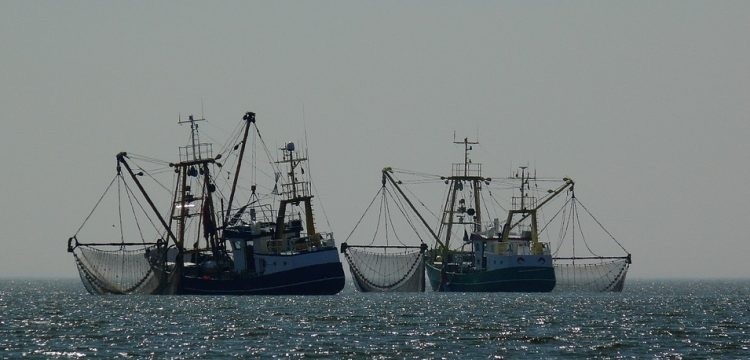 pesca-en-caladeros-en-disputa Sáhara Occidental: acuerdo de pesca legalmente dudoso con Marruecos