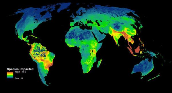 el-primer-mapa-que-muestra-como-los-humanos-destruyen-la-biodiversidad_image_380-600x327 Medio ambiente: un mapa muestra la destrucción provocada por el hombre