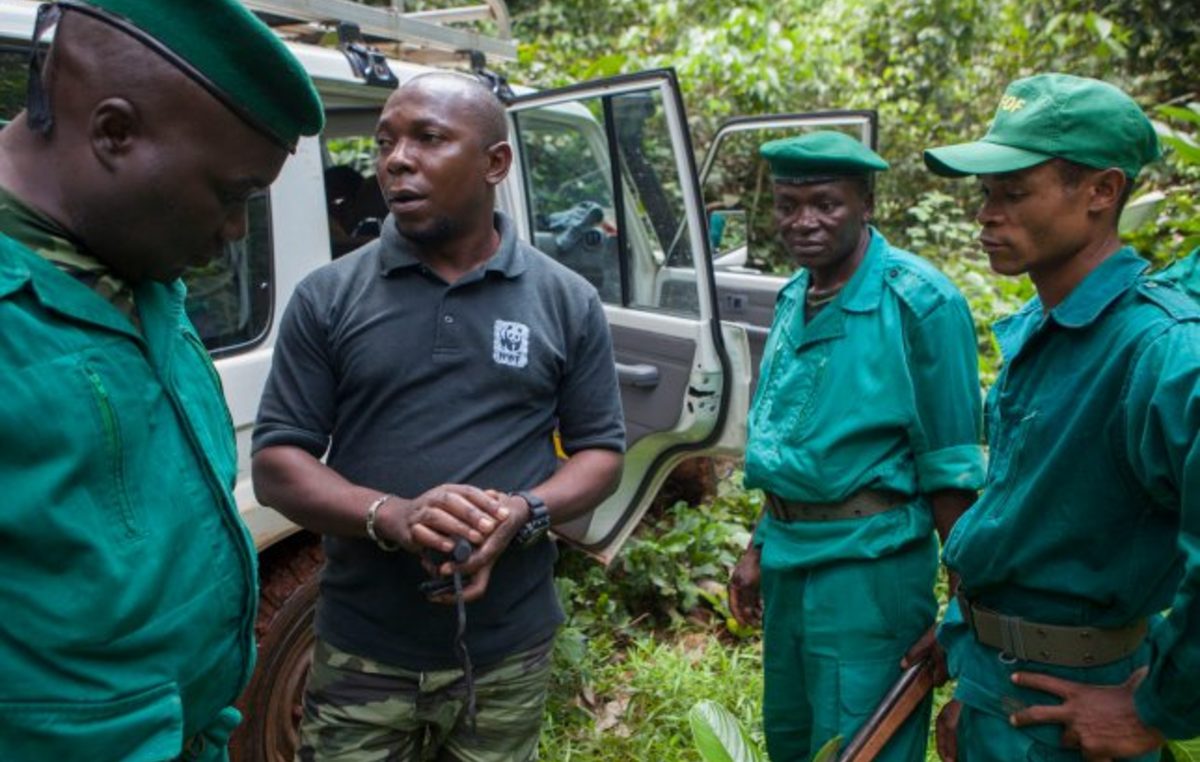 foto-2-wwf El parque nacional del Congo enfrenta a las protectoras de indígenas y de la naturaleza