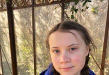 Greta Thunberg twitter