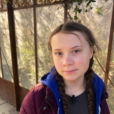 greta-thunberg-twitter La militante ecologista Greta Thunberg propuesta para el Nobel de la Paz