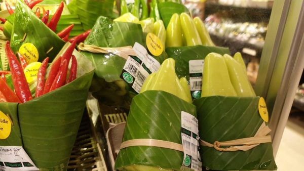 hojas-de-platano-600x338 Ecología: Bolsas de yuca o plátano para envolver alimentos