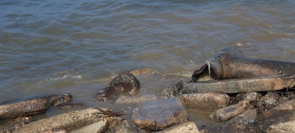 unrwakhalil-adwan-aguas-residuales-contaminan-acuifero-gaza-600x272 Israel utiliza el agua como arma de castigo en Gaza, vulnerando el derecho internacional