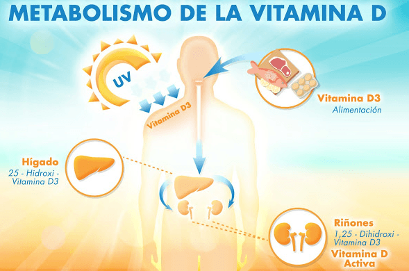 vitamina-d Vitamina D: la AEMPS alerta de sobredosificación en niños y adultos