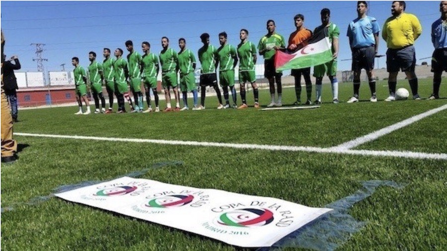 los-dromedarios-futbol-sahara Una bandera del Sahara en la CAN de fútbol provoca protestas de Marruecos