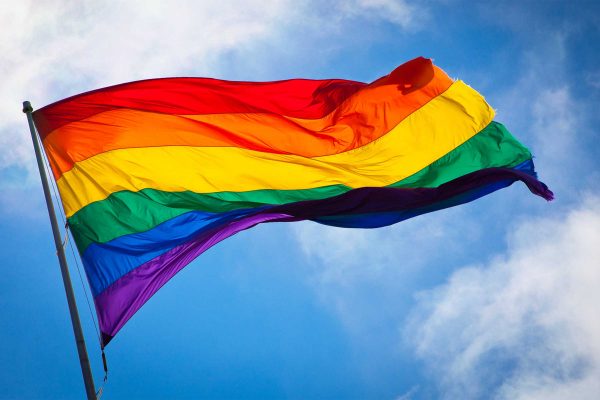 historia-bandera-gay-2-600x400 Discapacidad: el colectivo LGTBI denuncia su lucha contra la doble discriminación que sufren