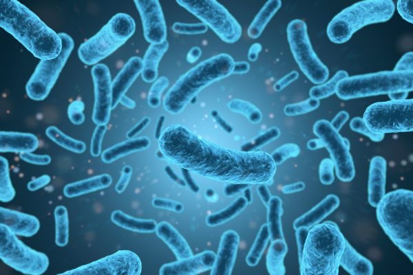 listeria-600x400 Listeriosis: una bacteria compleja y desconocida