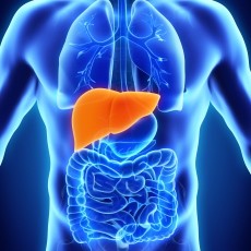 liverdisease Transaminasas elevadas: ¿qué me sucede?