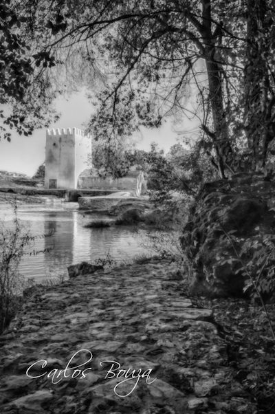 carlos-bouza-molinos-guadaira Carlos Bouza muestra en Madrid los molinos de Guadaira: un patrimonio que conservar