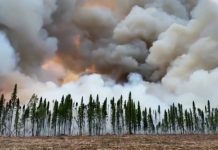 incendio forestal Alaska