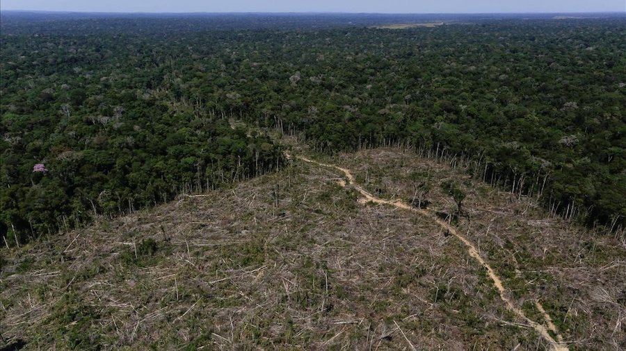 Brasil-deforestación-Amazonia Naciones unidas constituye un panel de expertos para preservar la Amazonia