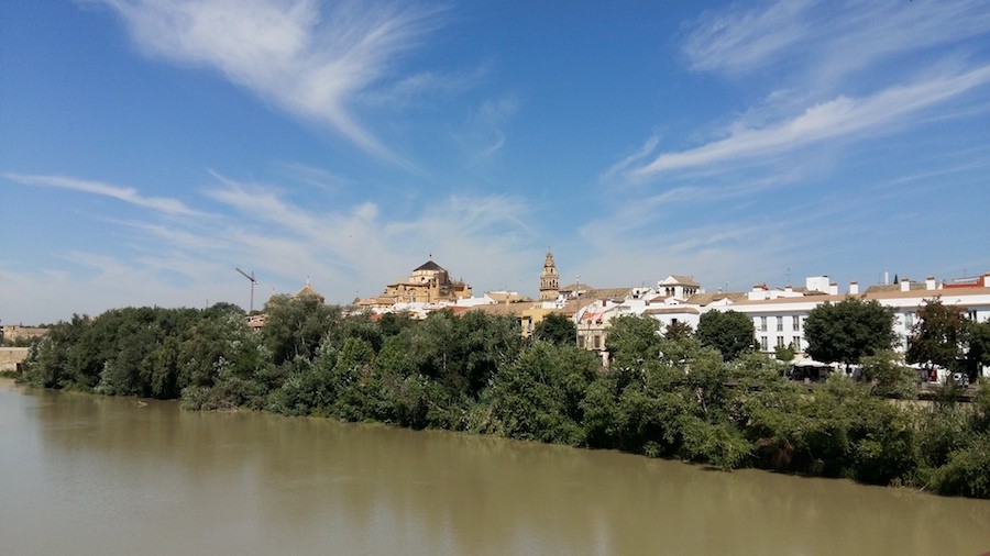 Cordoba-Sotos-de-la-Albolafia-Mezquita-al-fondo Córdoba. Paseos de ayer y de hoy